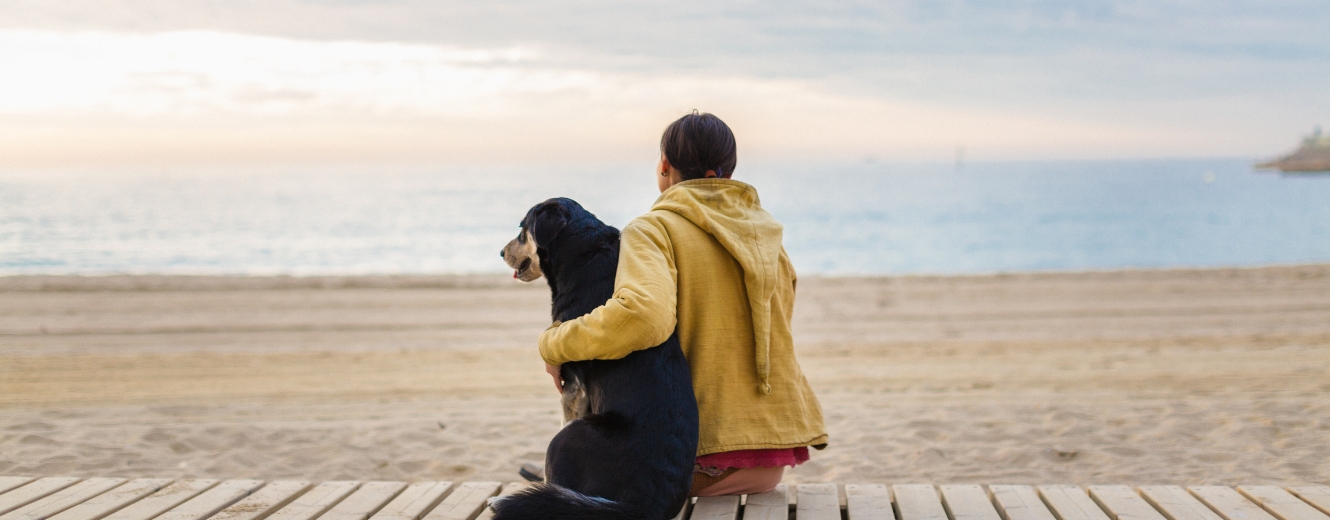 Dog friendly holidays