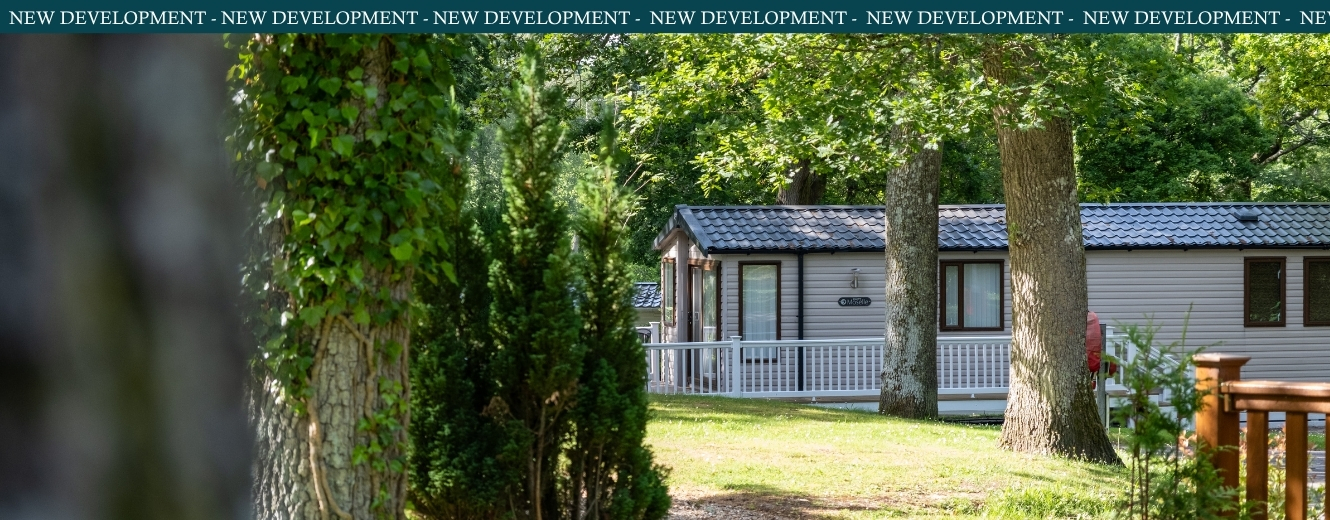Re-introducing Glen Drive Hoburne Naish