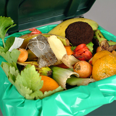 Food waste bin