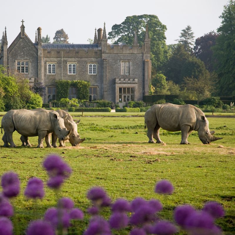 Cotswold wildlife park