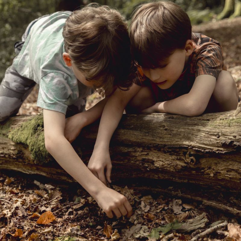 Woodland h activities