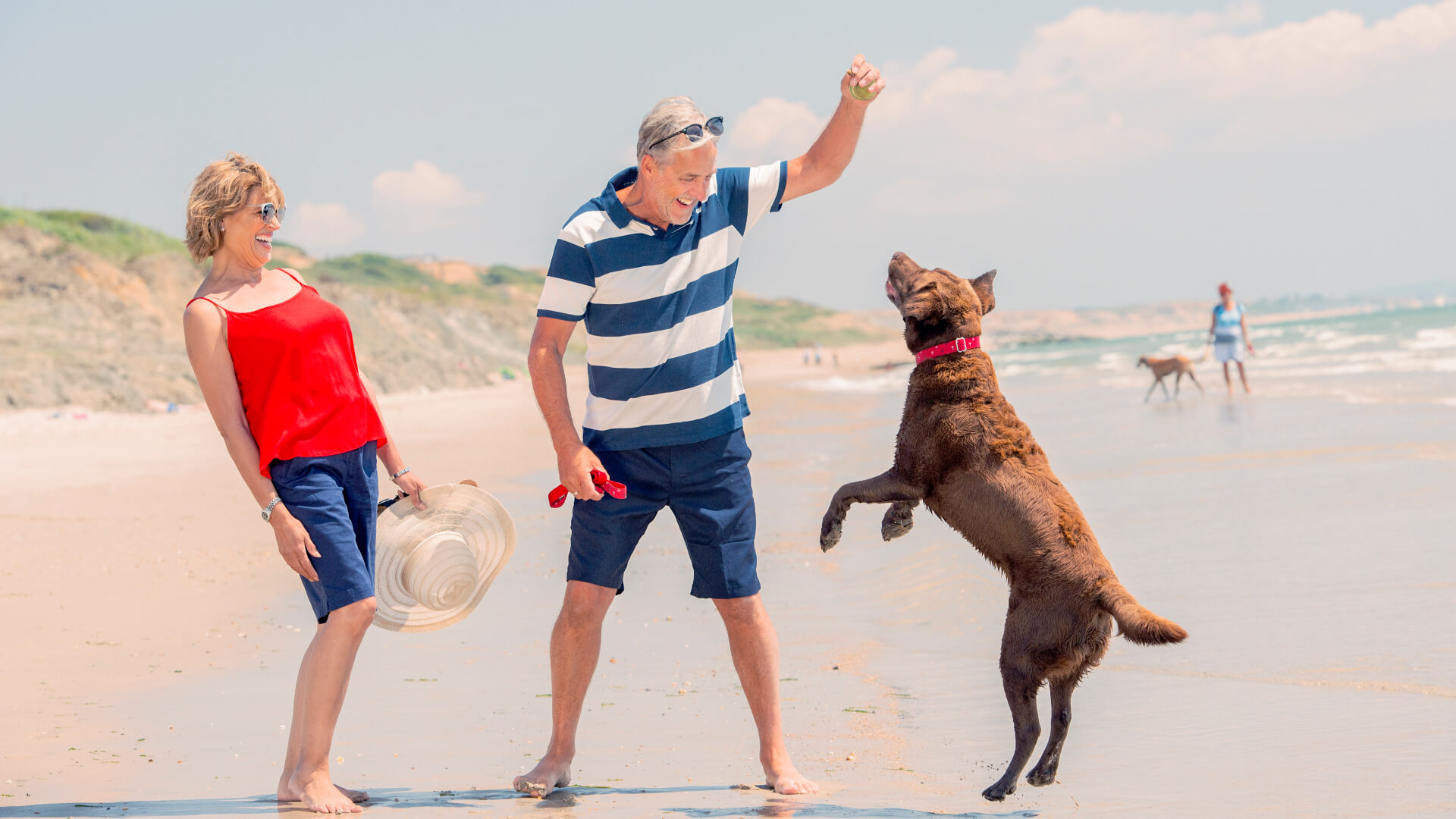 Dog Friendly Beaches 1920x1080