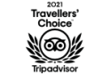 tripadvisor travellers choice logo