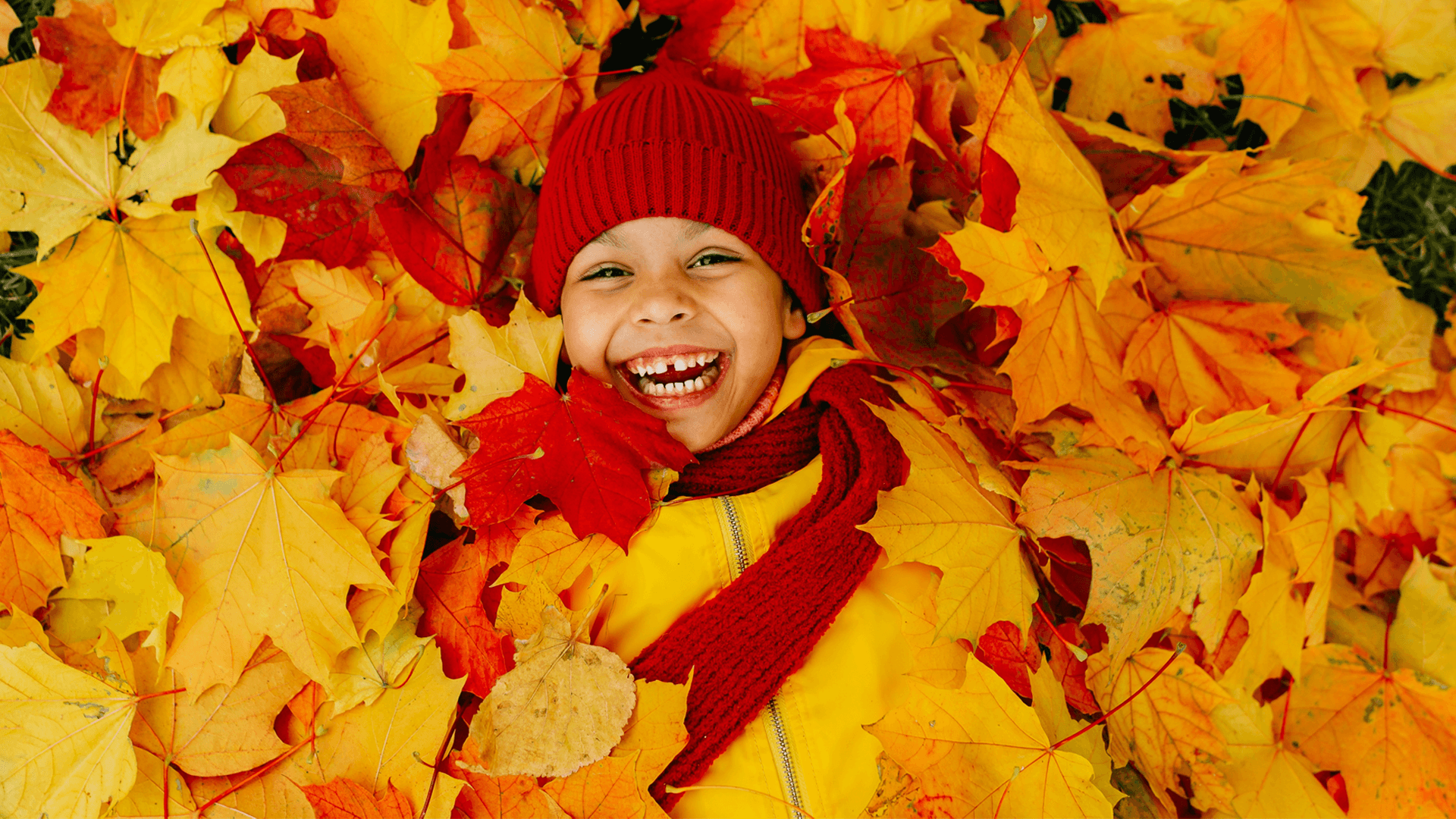 Autumn Smile 1920x1080