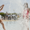Entertainment, facilities & activities all included!