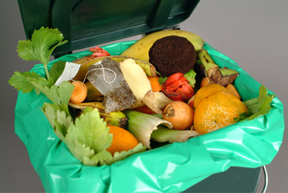Compost 418x280