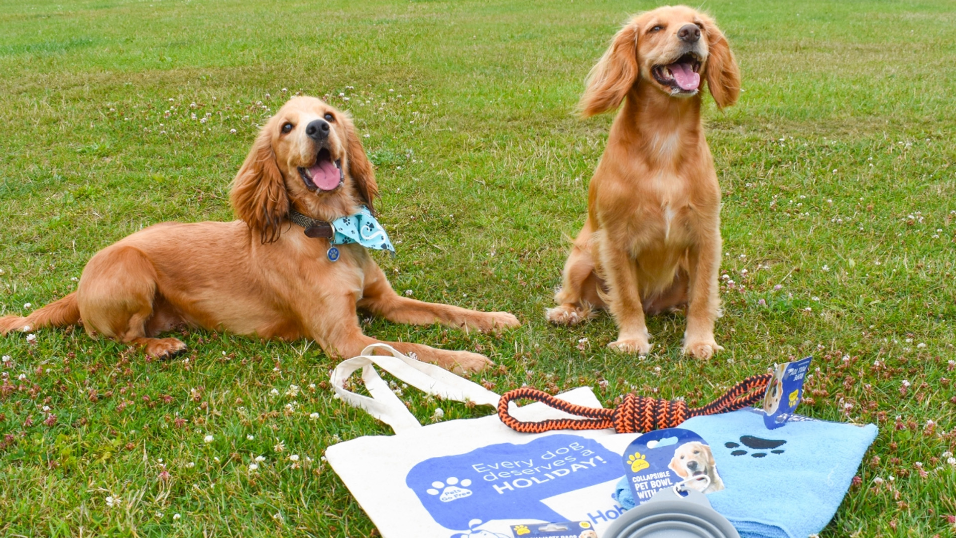 Dog Welcome Pack 1920x1081