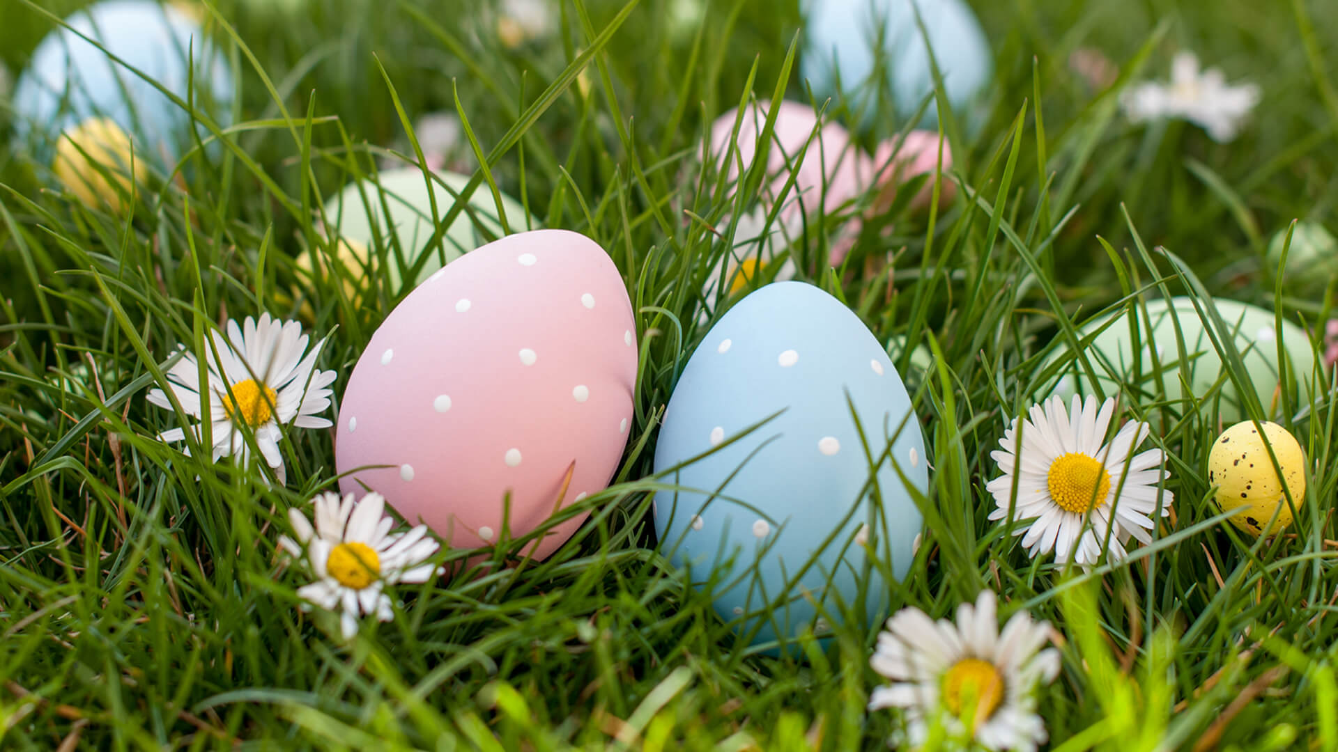 Easter 1920x1081
