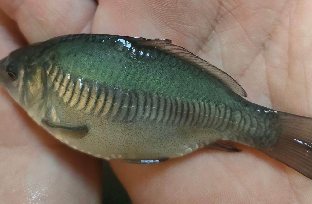 Fishing image 6 1920x1080