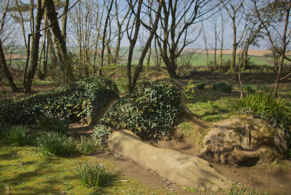 Gardens Of Heligan