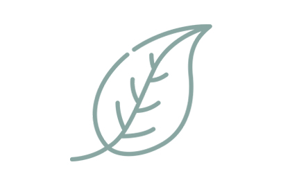 Leaf icon