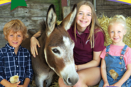 Children with donkey at Longdown Activity Farm