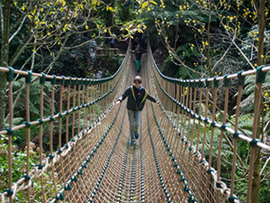 Lost Gardens of Heligan