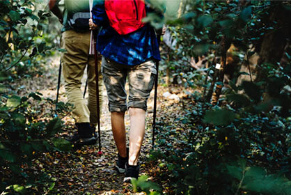 Walkers in woods with backpacks