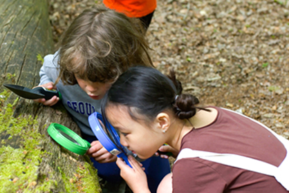 Children looking at bugs under microscope