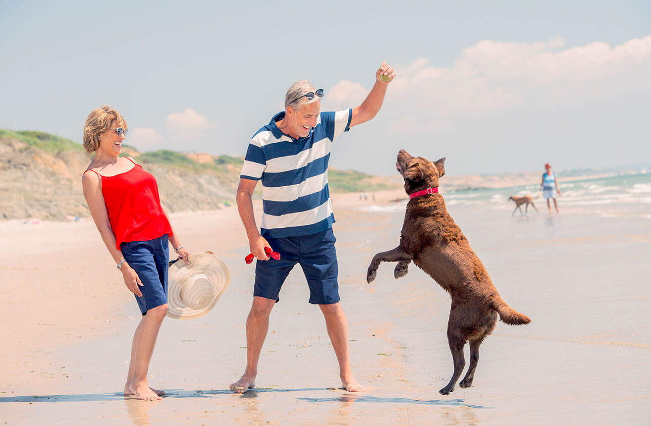 DogFriendly Holidays Hoburne Holidays