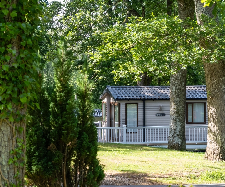 Caravan surrounded by trees