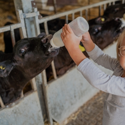 Longdown activity farm