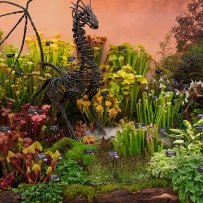 RHS Badminton flower show