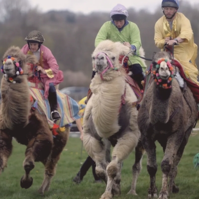The Cotswold show and food festival