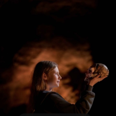 What's on locally   Devon