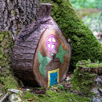 fairy forest walk