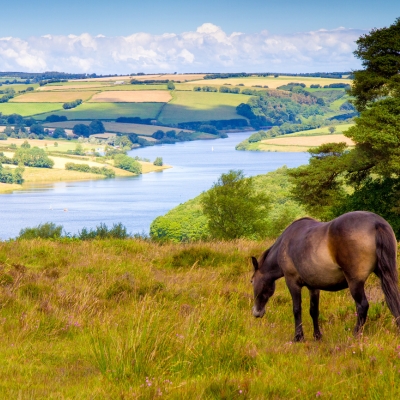 Exmoor