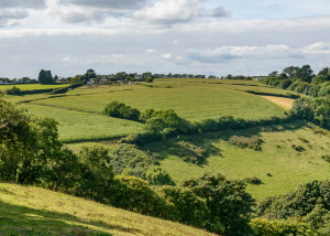 Liskeard Countryside 225x300