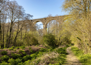 Moorswater Viaduct 225x301