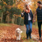 Fall in love with the New Forest this February