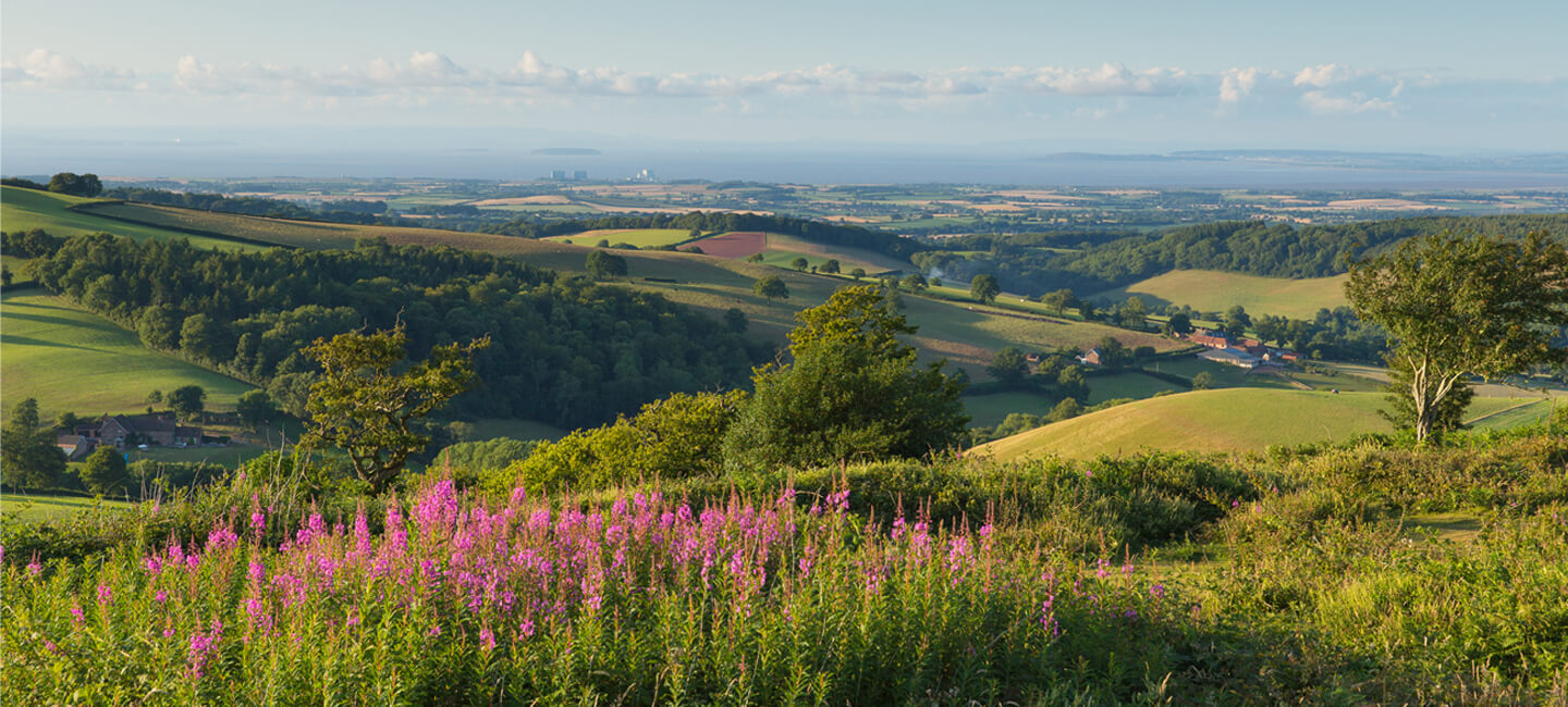 Blue Anchor Quantocks 1440x650