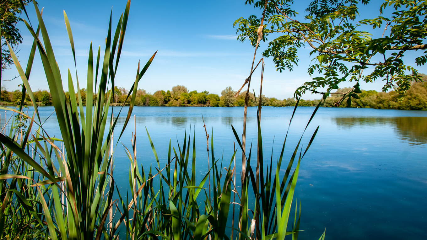 One of many lakes in the Cotswold Water Park