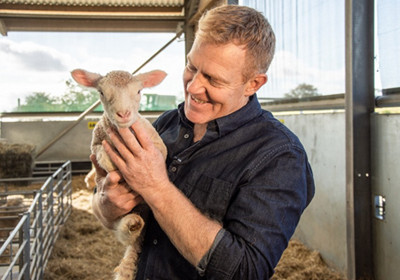 adam henson farm lambing 400x280jpg