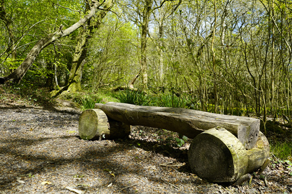 Handmade bench at the Woodland Centre