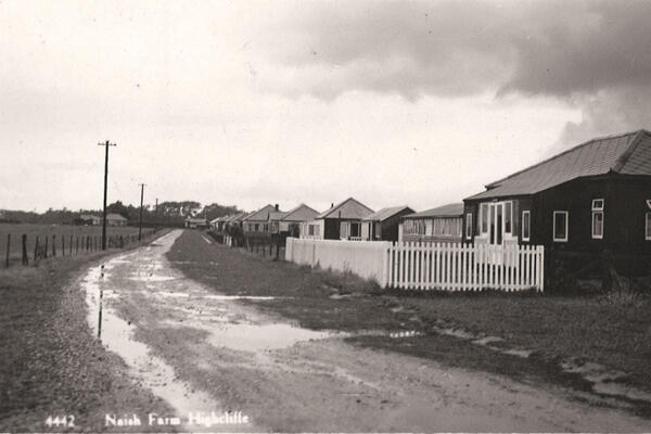 Naish Farm Highcliffe