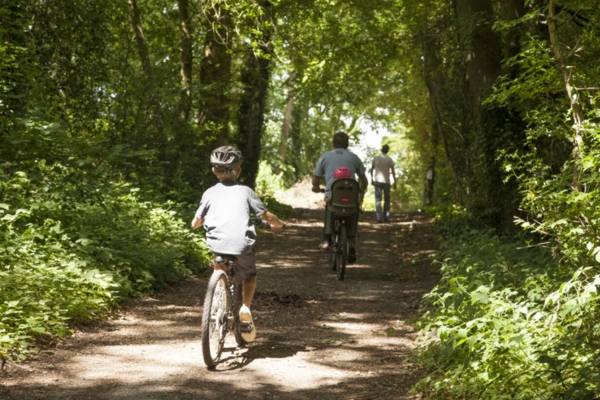 Family cycling through the forest