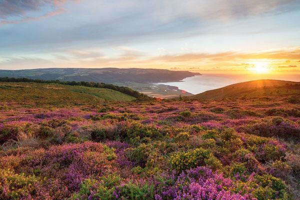Quantock hills