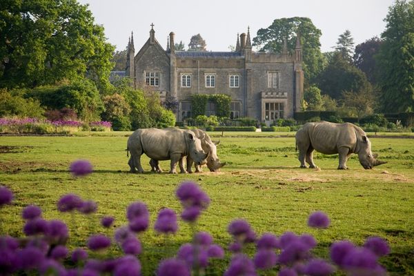 Cotswold wildlife park