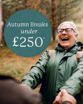 Autumn  v2to 25% off remaining 2026 breaks
