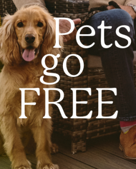 Offer pod - happy dog on decking