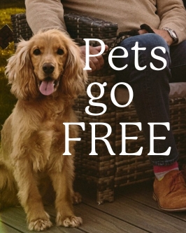 Offer pod - happy dog on decking