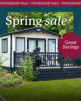 Ownership spring sale graphic