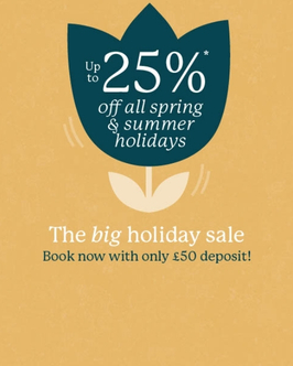 up to 25% tulip graphic   TBHS