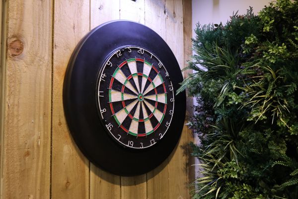 Social hub - dart board