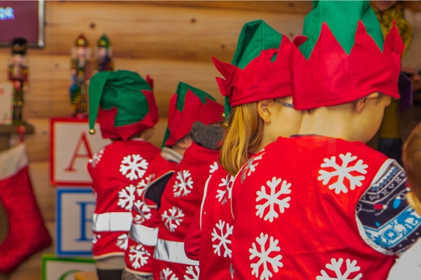 Elf academy