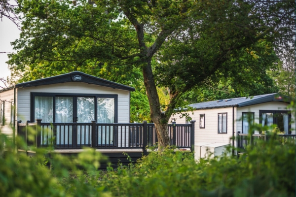 Lodges amongst greenery at Blue Anchor