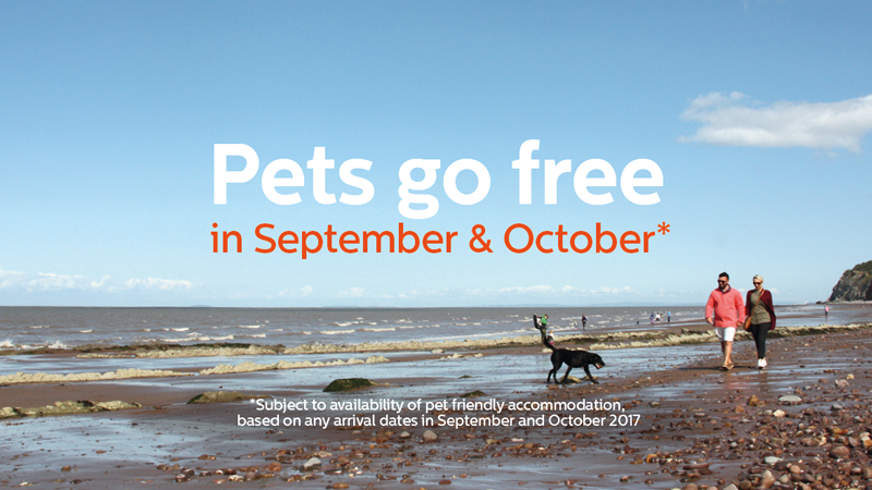 Cheap Private Dog Friendly Caravan Hire In Brean Cheap Private Dog Friendly Caravan Hire In Brean